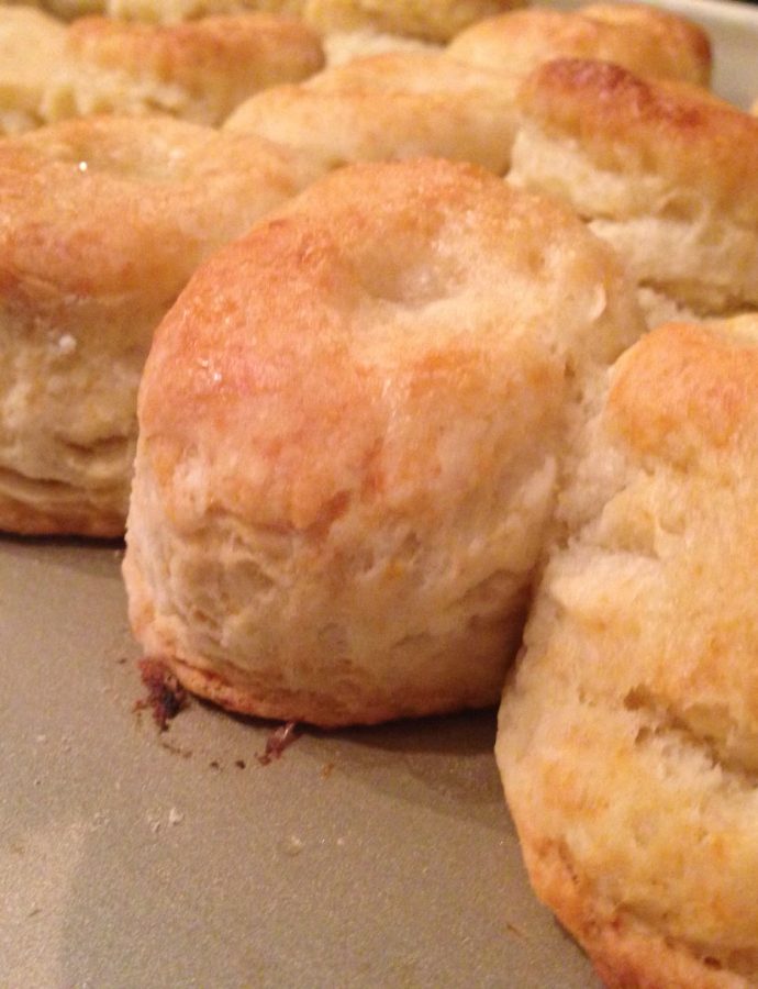 Flakey Layer Biscuits